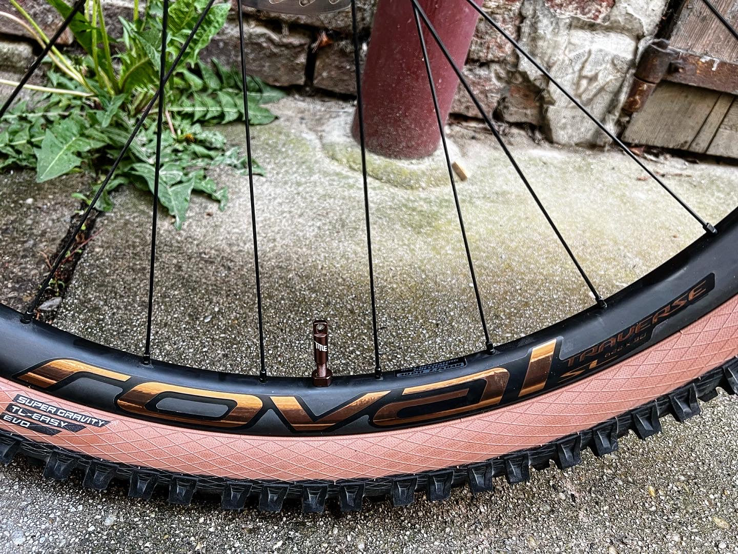 Specialized S-Works Stumjumper Evo Custum