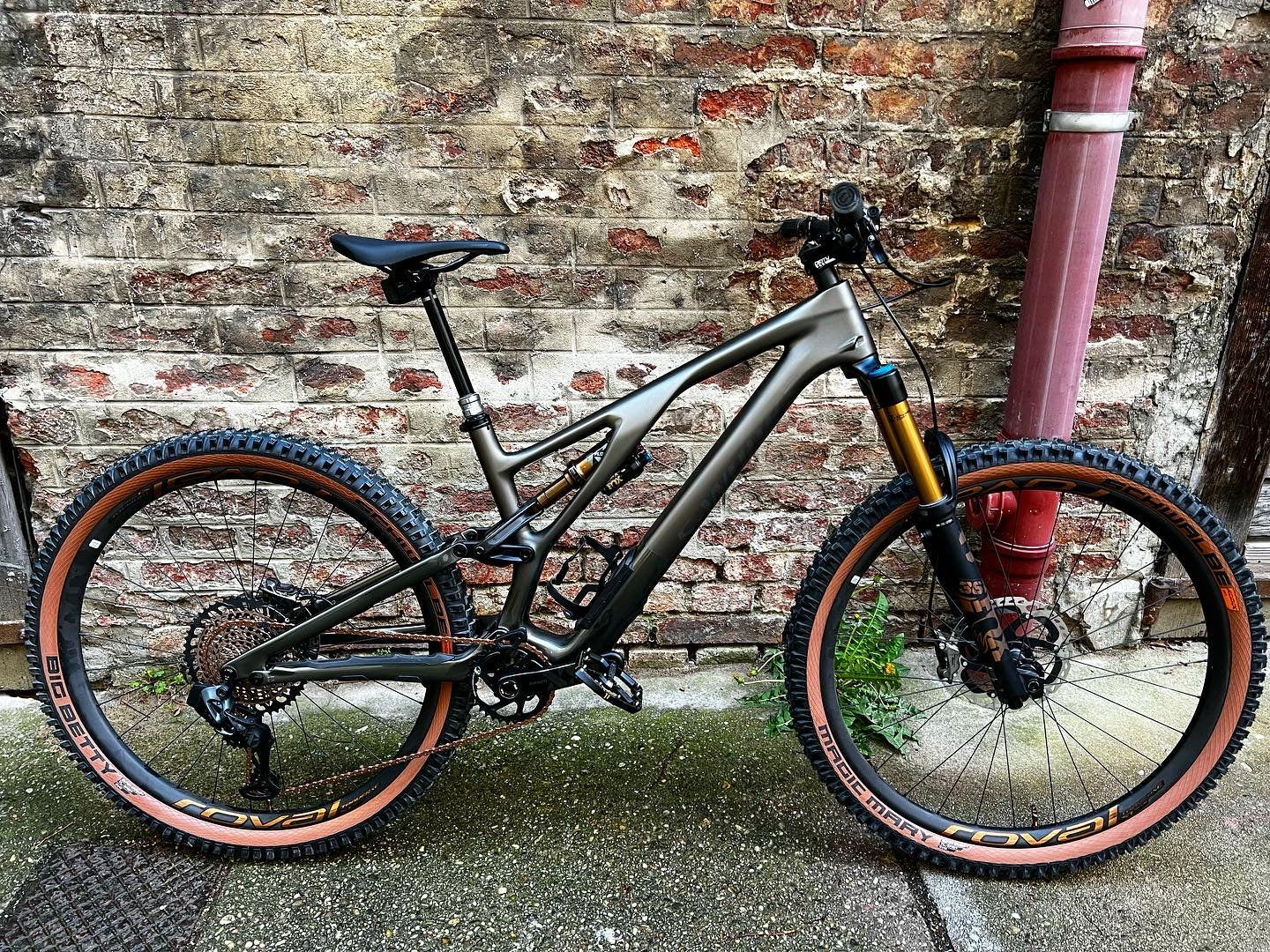 Specialized S-Works Stumjumper Evo Custum