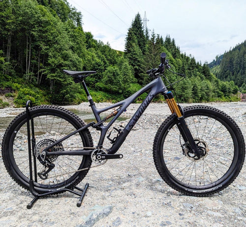 Specialized S-Works Stumpjumper Custom