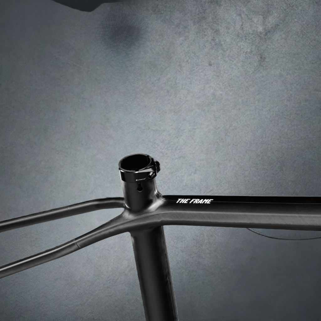 Bike Ahead Frameset "THE FRAME"