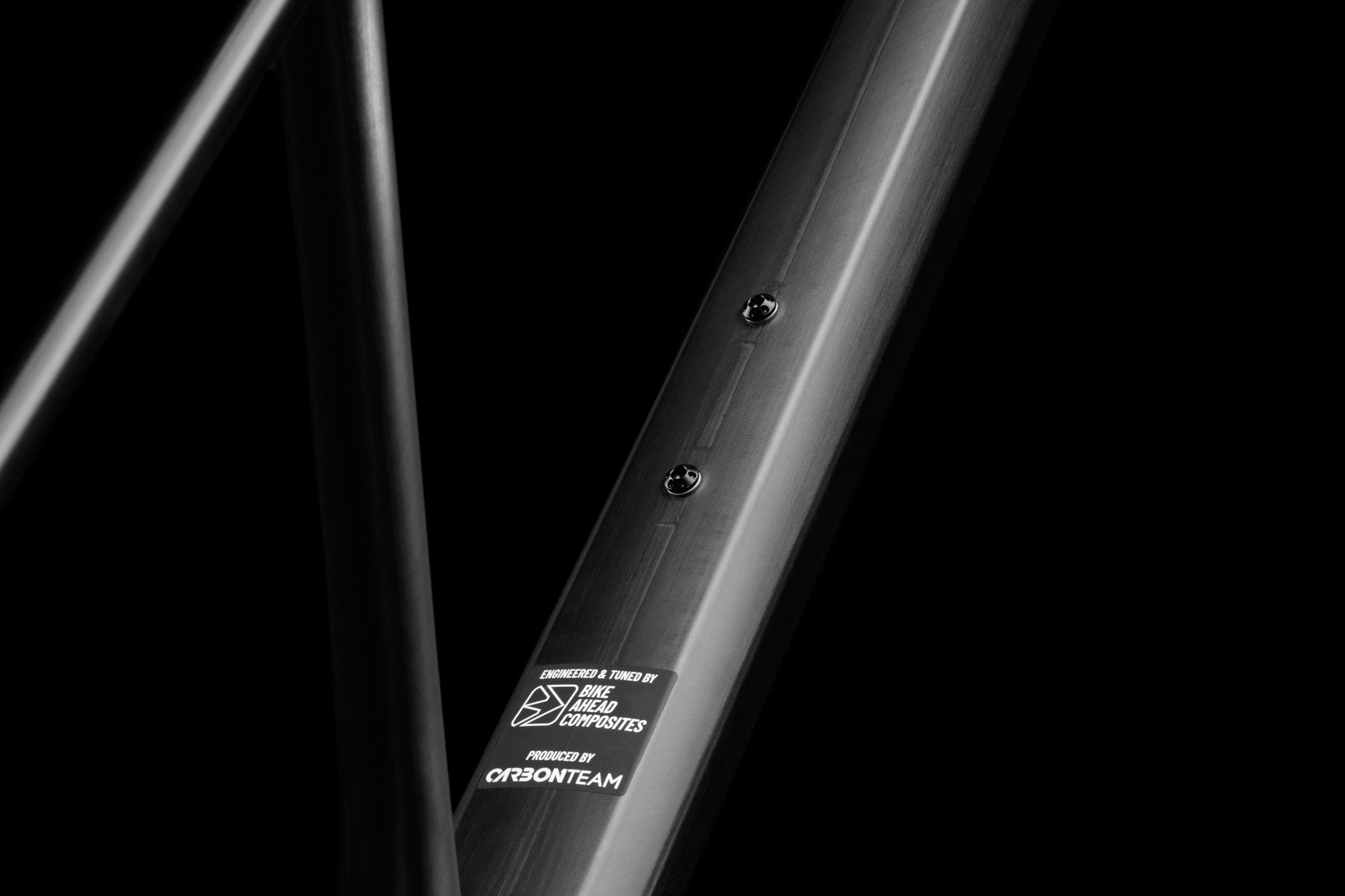 Bike Ahead Frameset "THE FRAME"