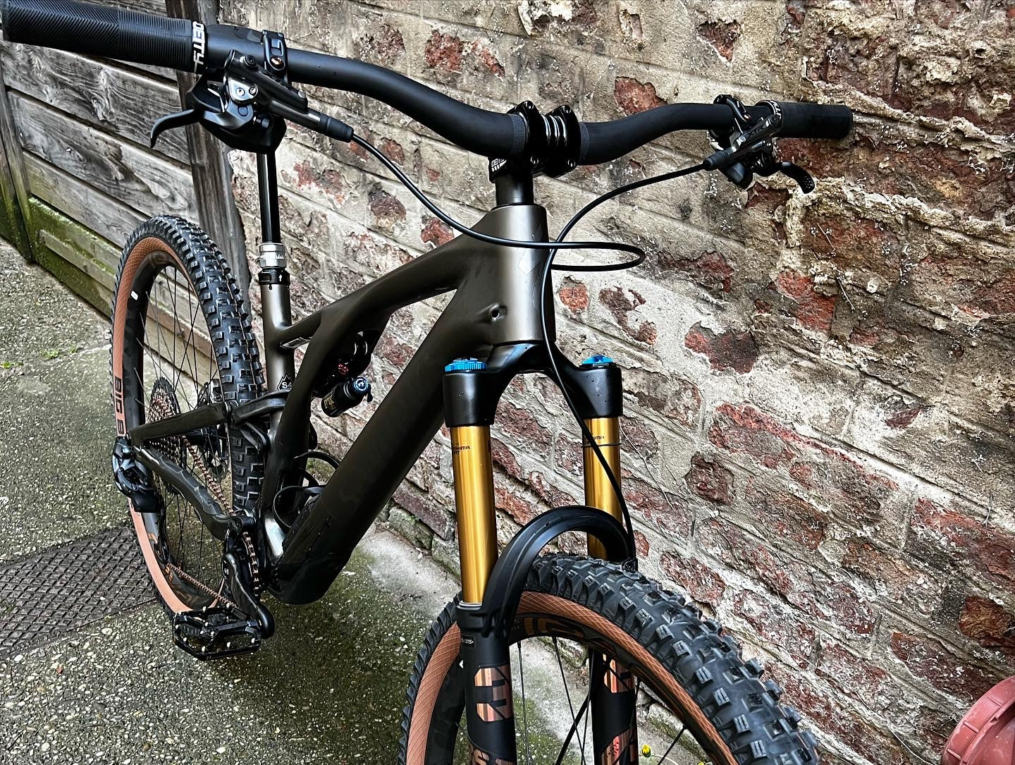 Specialized S-Works Stumjumper Evo Custum