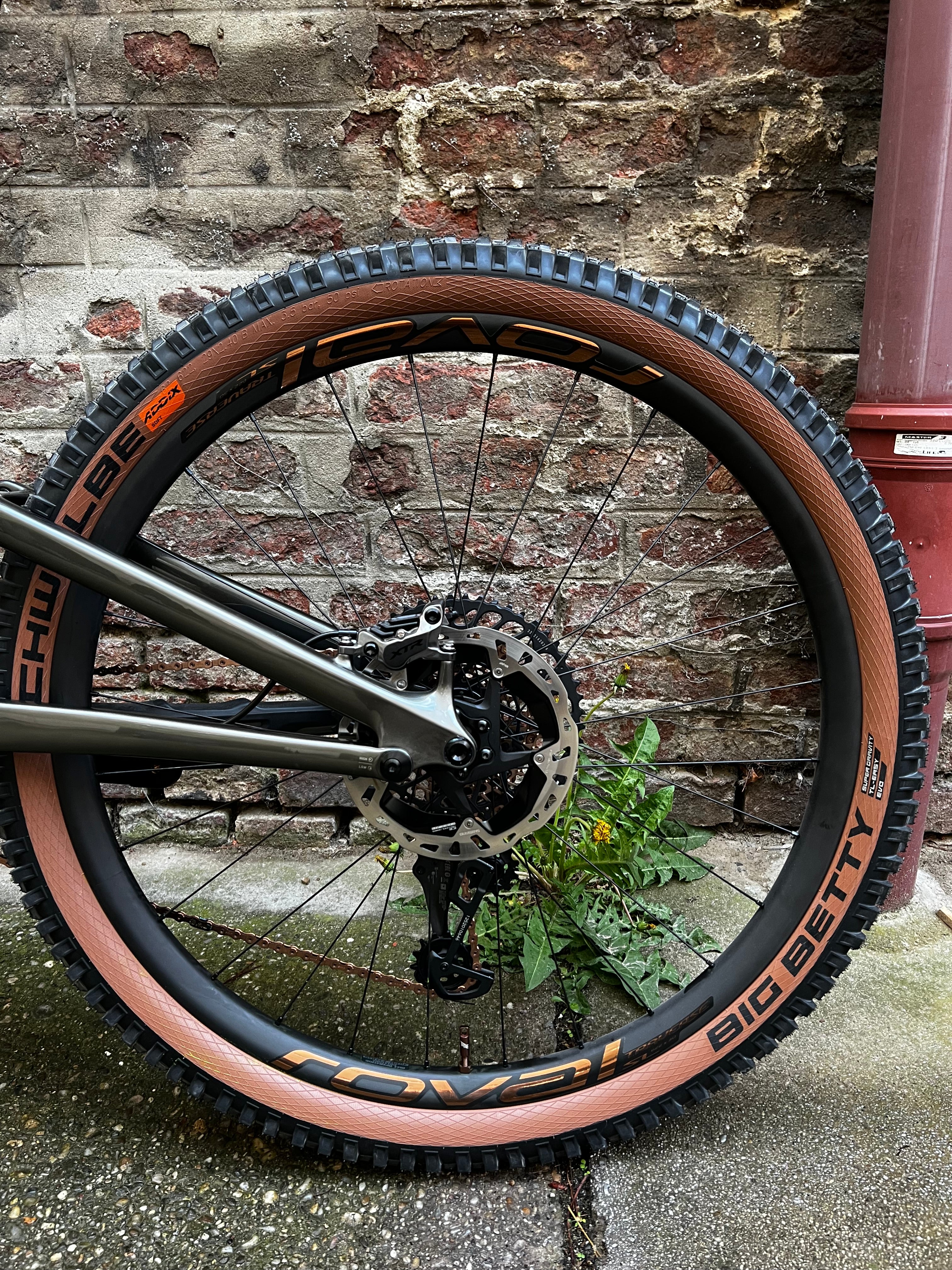 Specialized S-Works Stumjumper Evo Custum