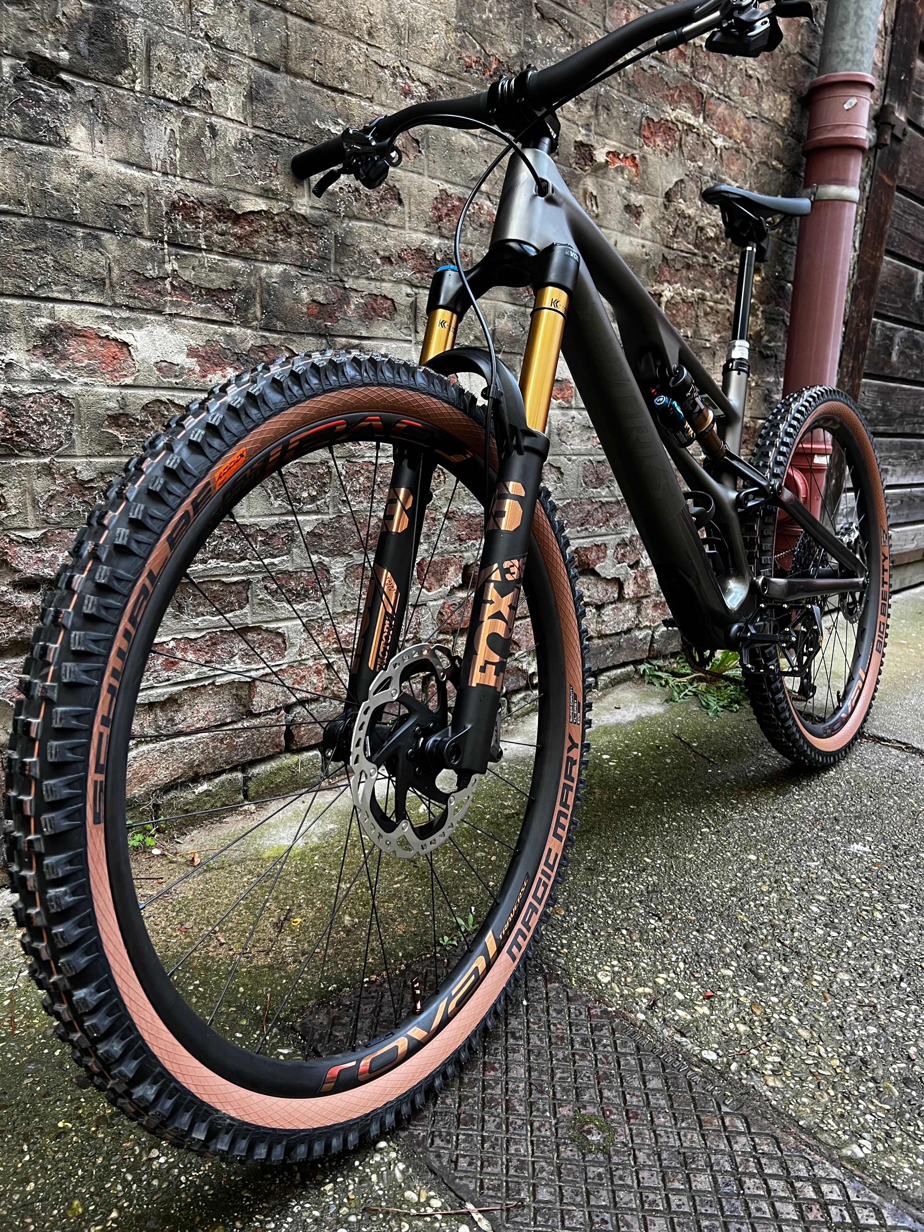 Specialized S-Works Stumjumper Evo Custum