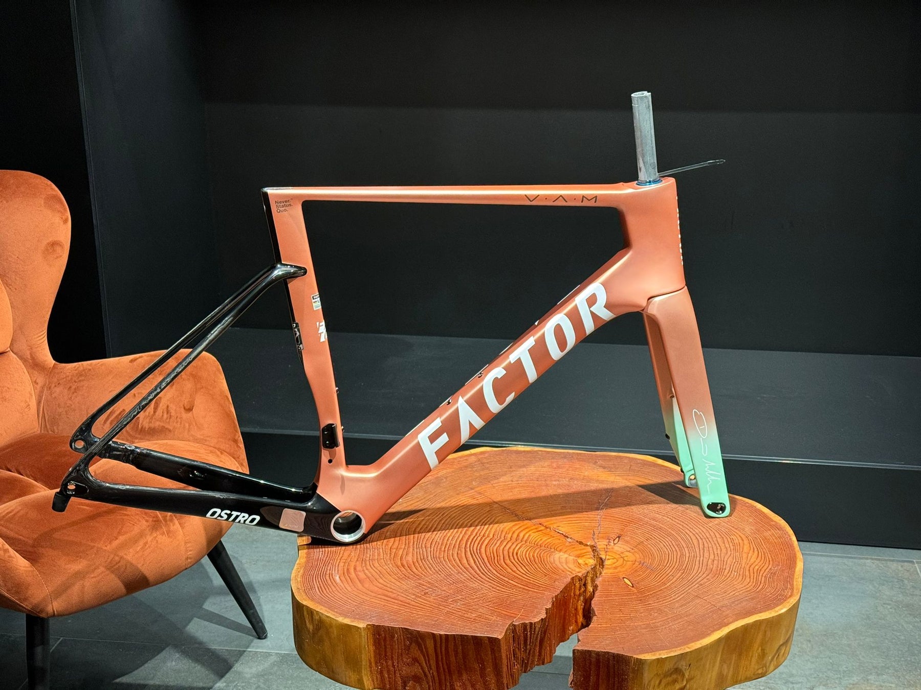 Factor OSTRO VAM 2.0 Frameset Millar 2024